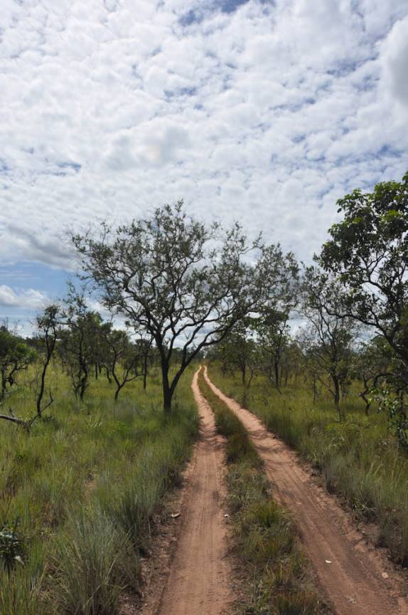 Estrada corta o cerrado no P.N da Chapada das Mesas, região de Carolina - MA